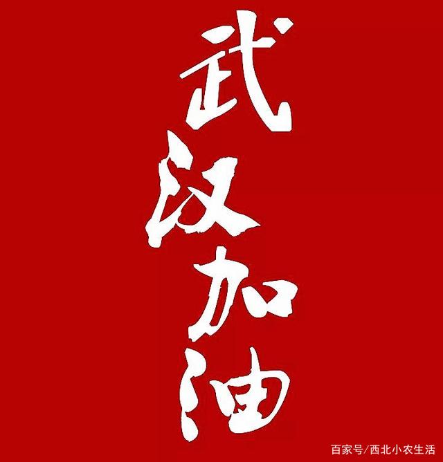 在防控疫情阶段   ，提前启动网推工作